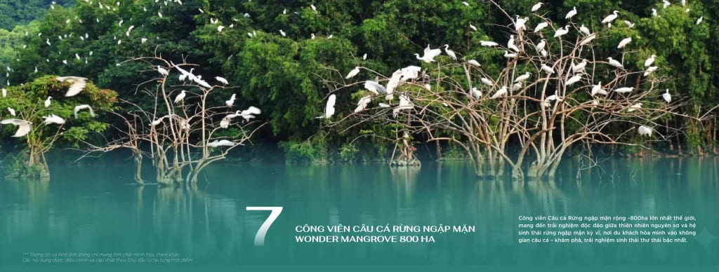 Tiện ích Hạ Long Xanh 7